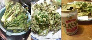 山菜天ぷら三昧 山菜天ぷら三昧
